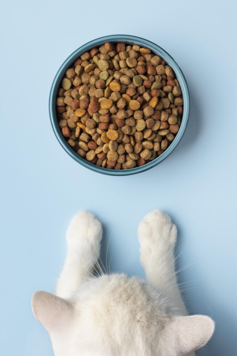 Choosing The Right Pet Food: A Nourishing Journey for Our Furry Friends